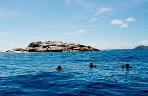 10 Hawksbill Dive Center Seychelles