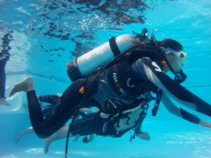 23 Hawksbill Dive Center Seychelles