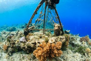 Biorock gili islands