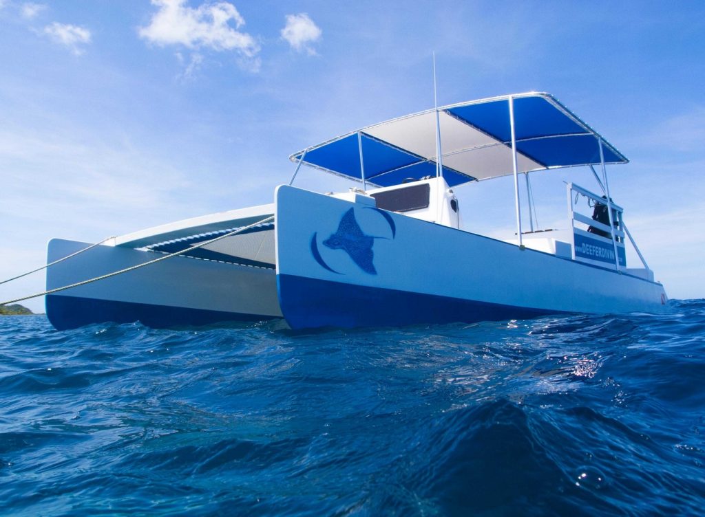 dive catamaran