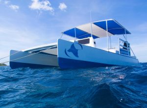 Deefer Diving catamaran