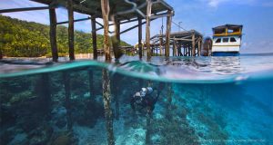 Diver with jetty