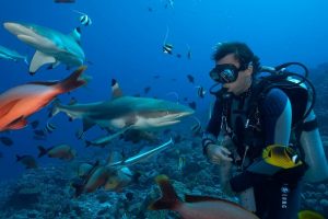 Diver with Black Tip Reef Sharks