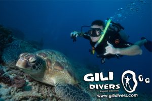 Gili Divers 10