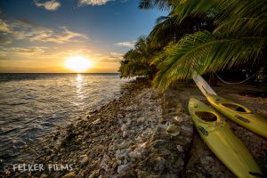 Island Sunset with Kayaks