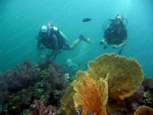 Key visual Adventurer diver