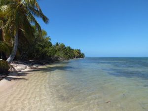 Long Caye beach