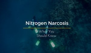 Nitrogen narcosis 2