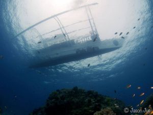 Reef Seekers scuba dive boat