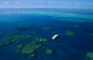 Ribbon reefs