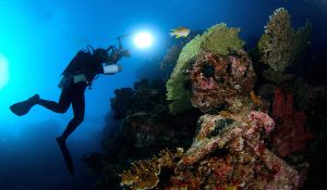 Scuba diving Menjangan island  Bali 2