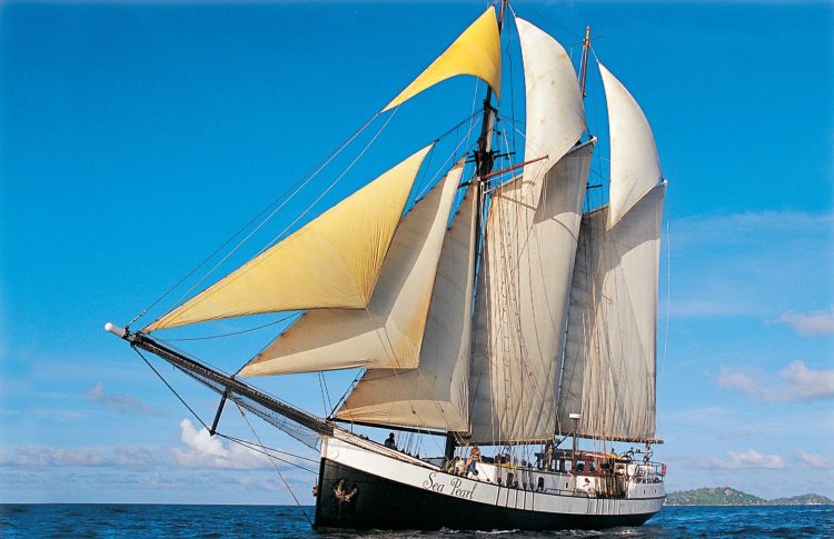 sail pearl white