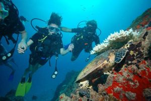 Seychelles scuba dive