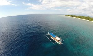 Sharkpoint gili trawangan