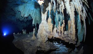 Stalactites underwater cave mexico