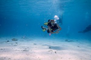 The Rock  Bonaire