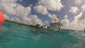 aruba boat dive