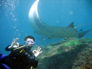 bali manta point