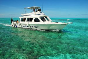 baot dive belize