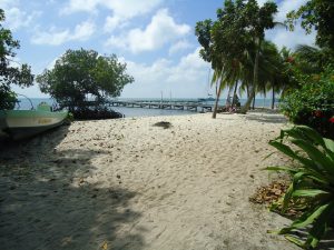 beach sea glass inn