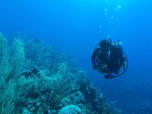 belize scuba