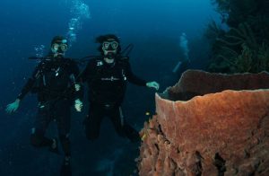 belize scuba divers