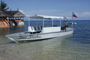 boat dive cebu