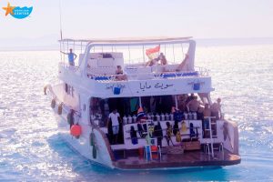 boat dive trip egypt