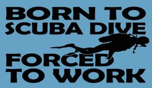 born to dive forced to work