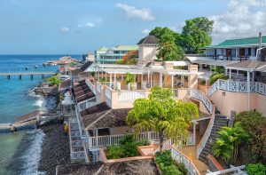 buddy dive dominica overview