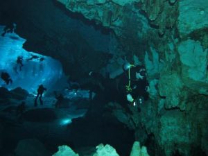 cenotes of playa del carmen