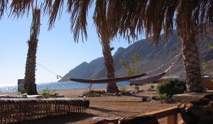 chill and dive in Dahab