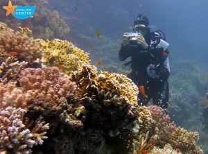 coral reef hurghada