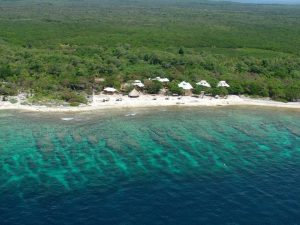 coral reef utila 2