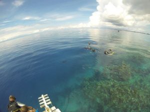 coral reef utila