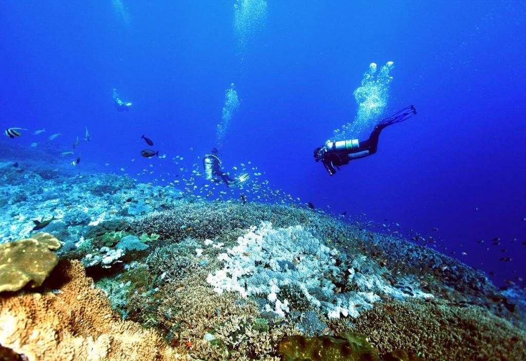 crystal bay RUSHKULT