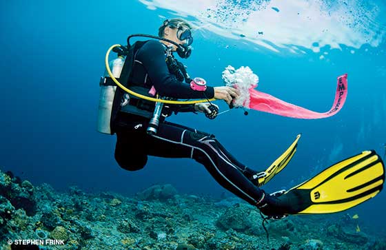 scuba diving deaths