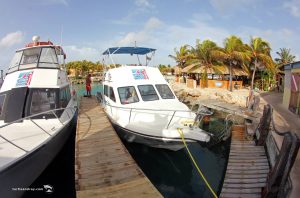 dive boats ocean encounters curacao