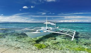 dive bohol