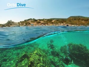 dive cyprus