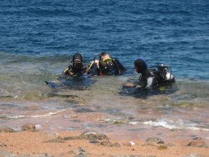 dive dahab 2