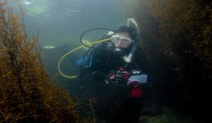 dive hong kong