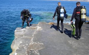 dive malta