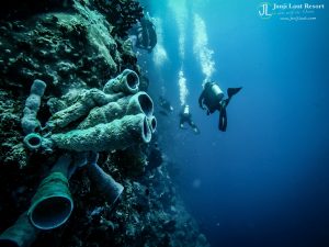 dive manado