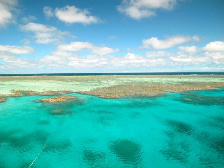 10 Mind Blowing Facts About Scuba Diving on the Great Barrier Reef ...