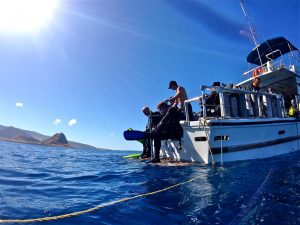 hawaii boat dive