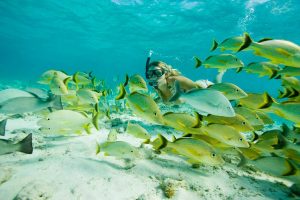 hol chan marine reserve