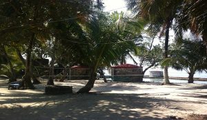 marine conservation on tom owens caye