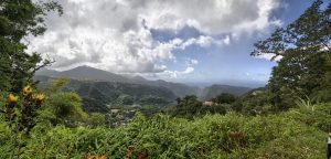 mountain view dominica