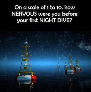 night dive